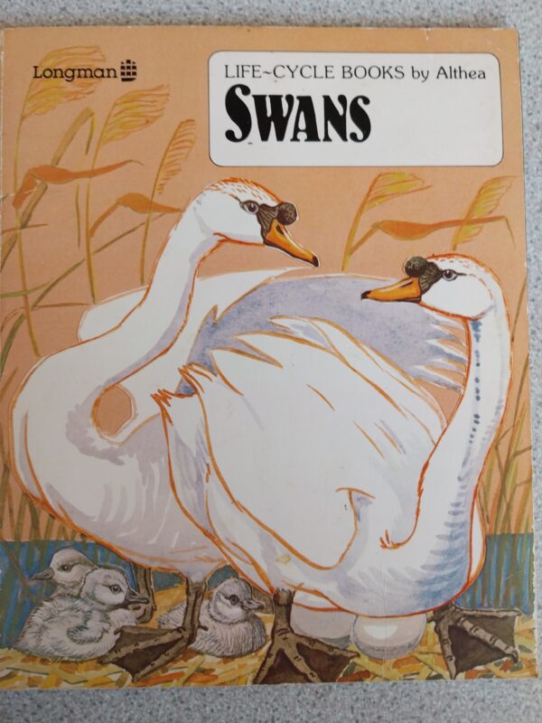 Swan (life Cycle) By "althea" Paperback Book The Fast Free Shipping